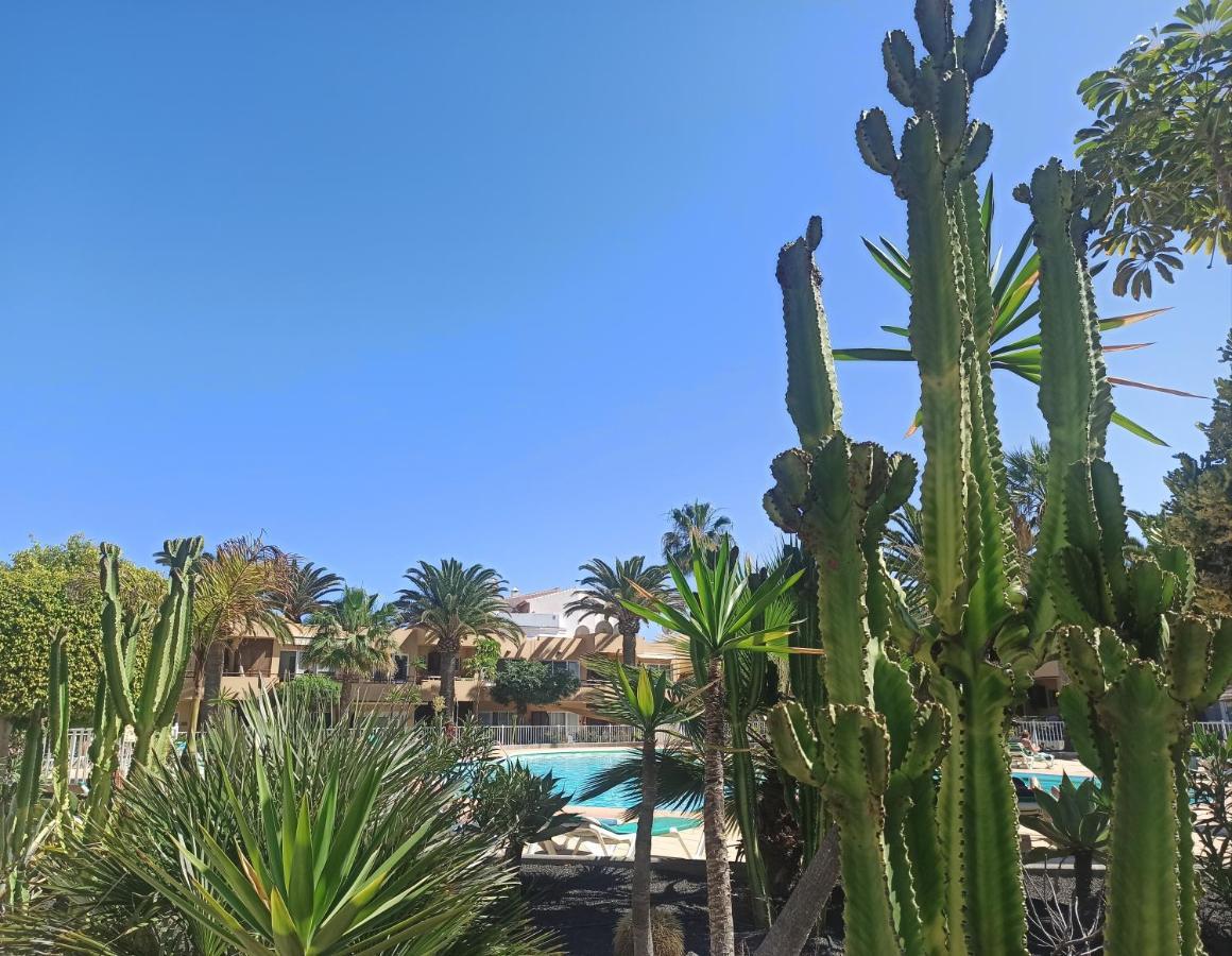 Elrincondesara Daire Corralejo Dış mekan fotoğraf