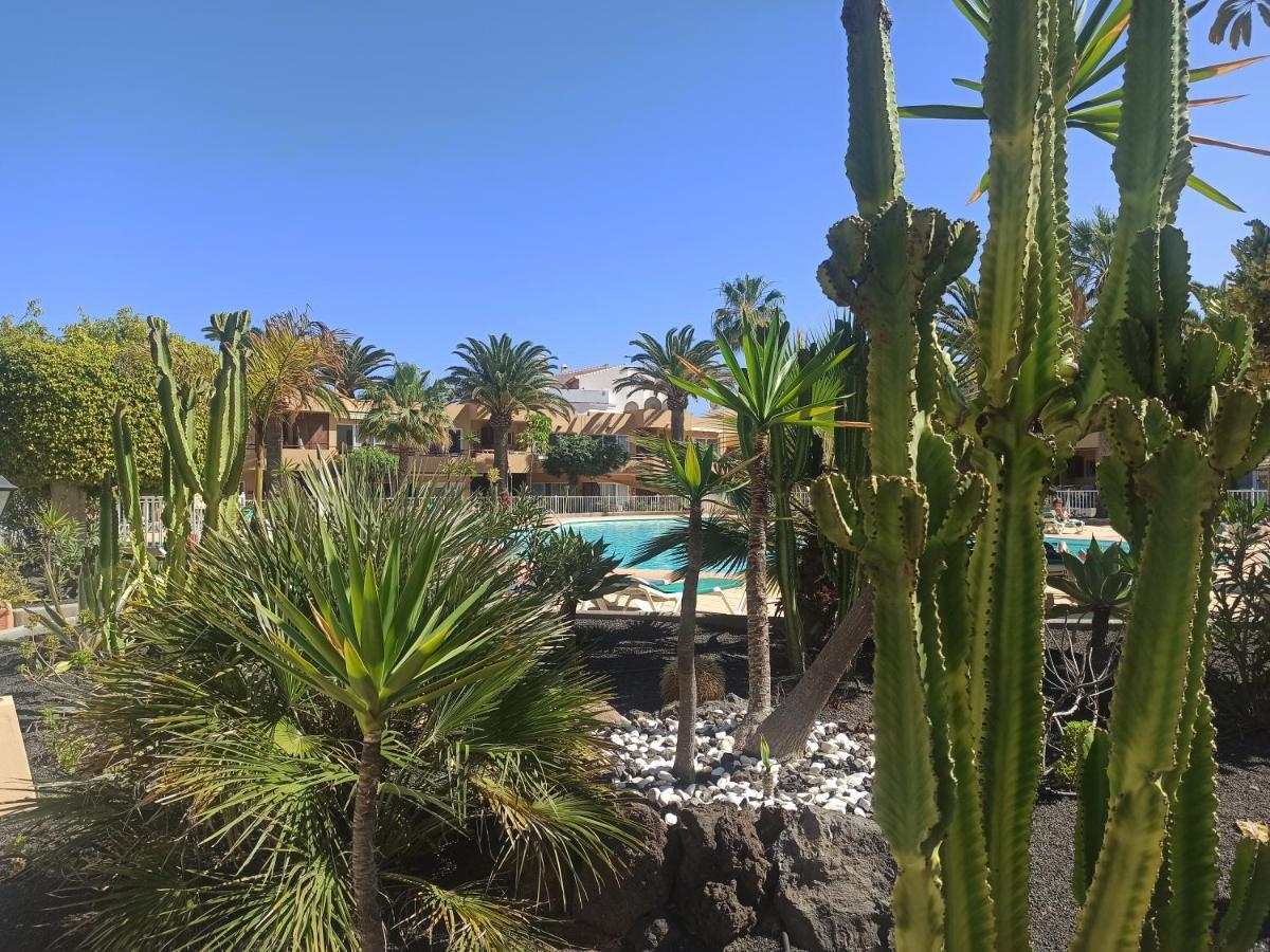 Elrincondesara Daire Corralejo Dış mekan fotoğraf